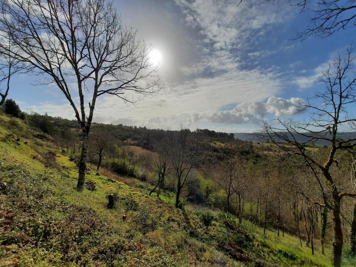 Maison Olea Bed & Breakfast Le Bugue Dış mekan fotoğraf